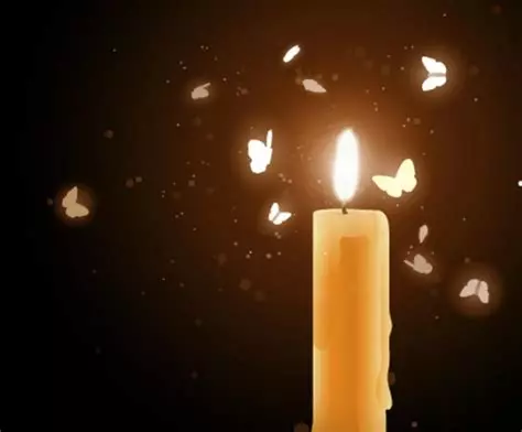 [Image: BOUGIE.webp]