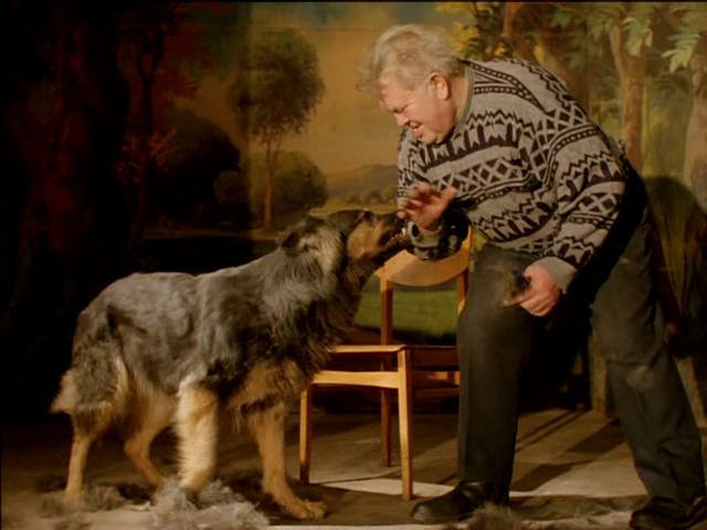 vlcsnap-2022-02-19-12h53m36s886