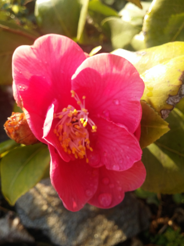 20190404_181949