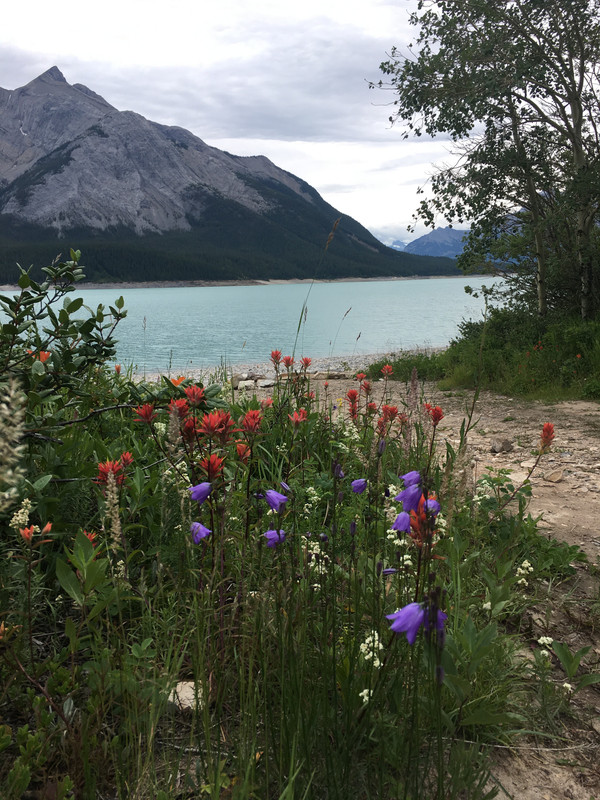 CD50C348-9383-488B-9B4E-B541CC114A78