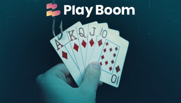 PlayBoom Casino im Check