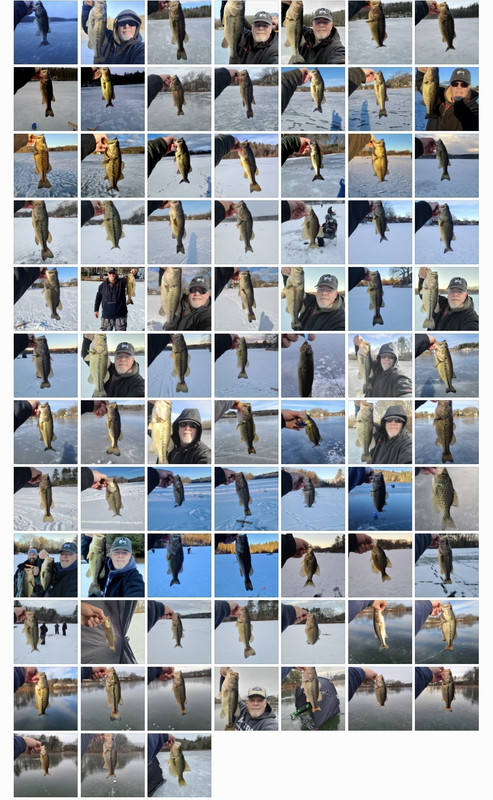 Screenshot 20260322 123750 Gallery