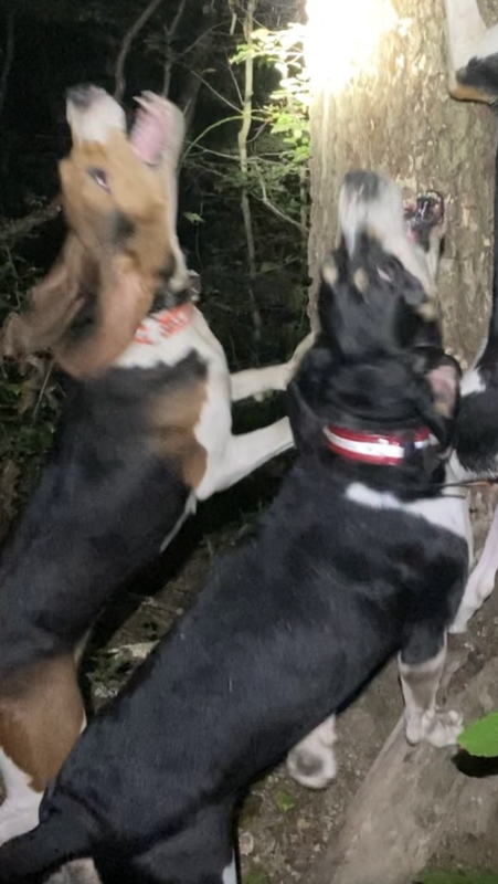 C5792541-0327-4266-B24F-D04C5CBEDBBF