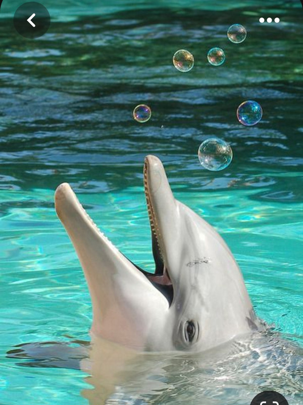 Screenshot_20230611_221048_Pinterest