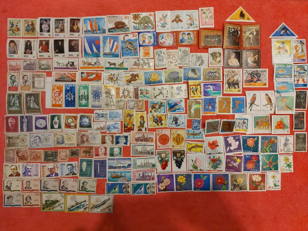 photo_2021-08-07_17-51-34 (2)