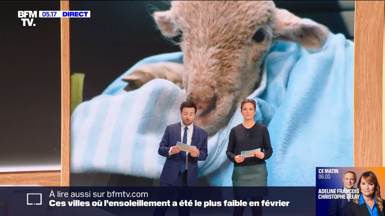 BFMTV Pauline 070324.mp4_snapshot_00.52.52.820