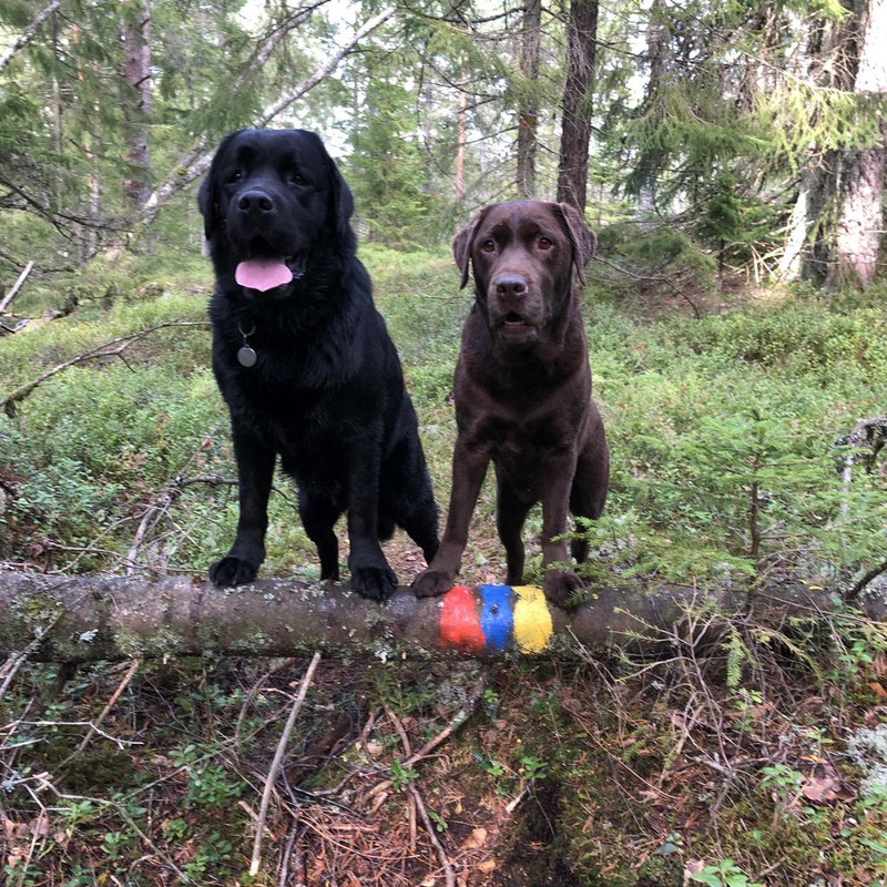 0BC02739-A688-4863-9F23-B4150AD7F0FF