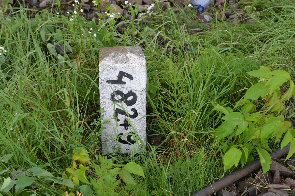 DSC_4450