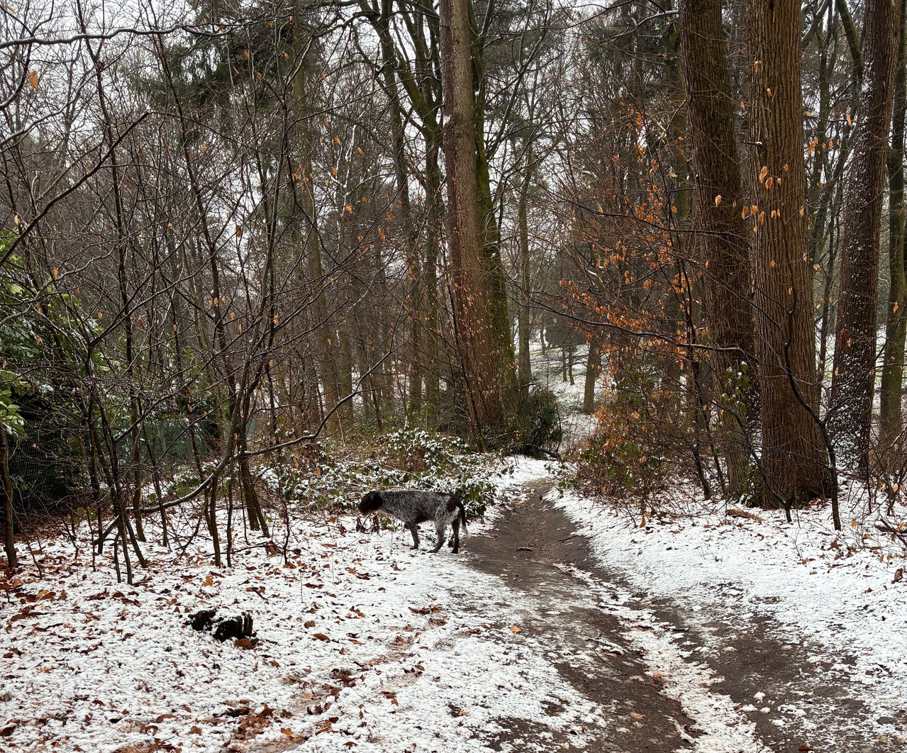 2025 19 02 IMG 5494 (002)