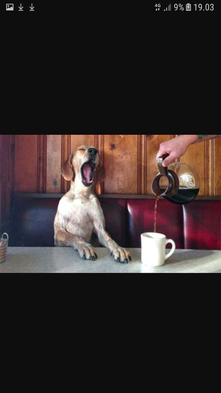 Screenshot_20180515-190333