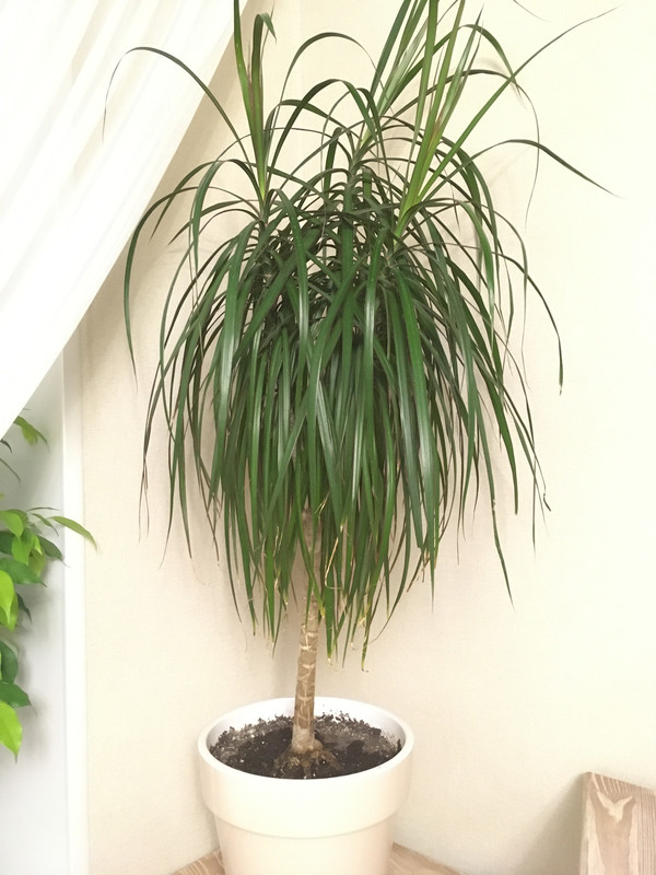 E54C3A47-5598-4AB9-A43D-BE2D2A701547