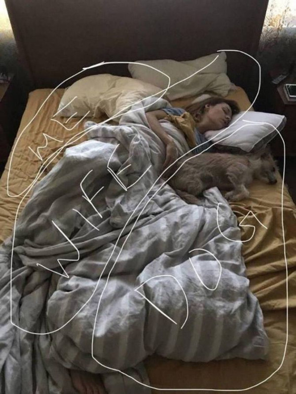 thumbs-EMOK-Picdump-707-016.jpg