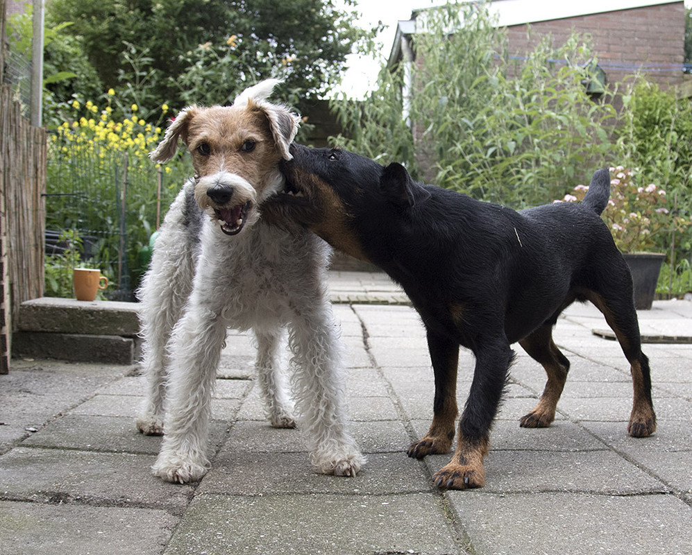 truus en dirk 164A8336