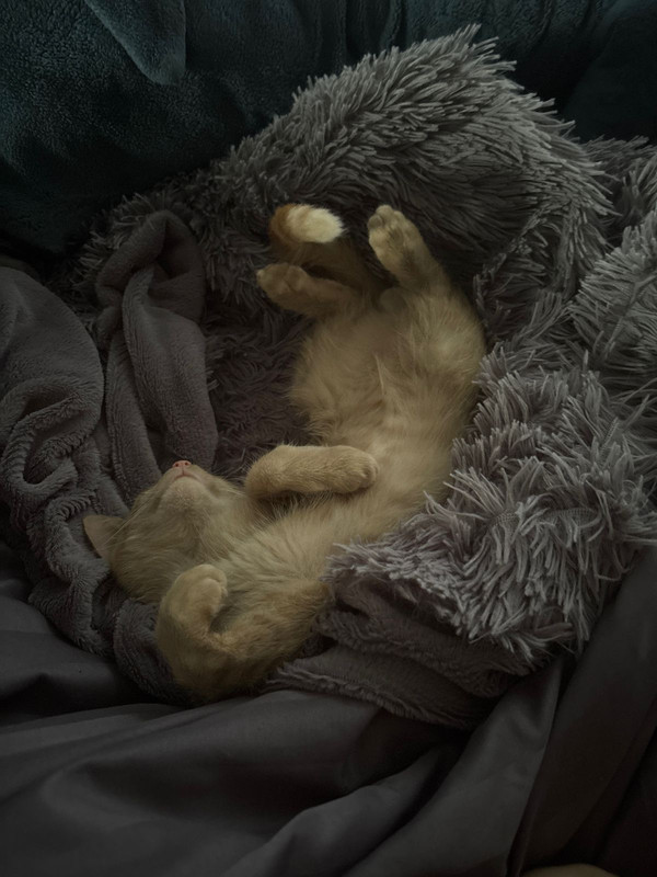 7c7fe0e7 7c7e 4484 97e5 aaaf8efff6c0