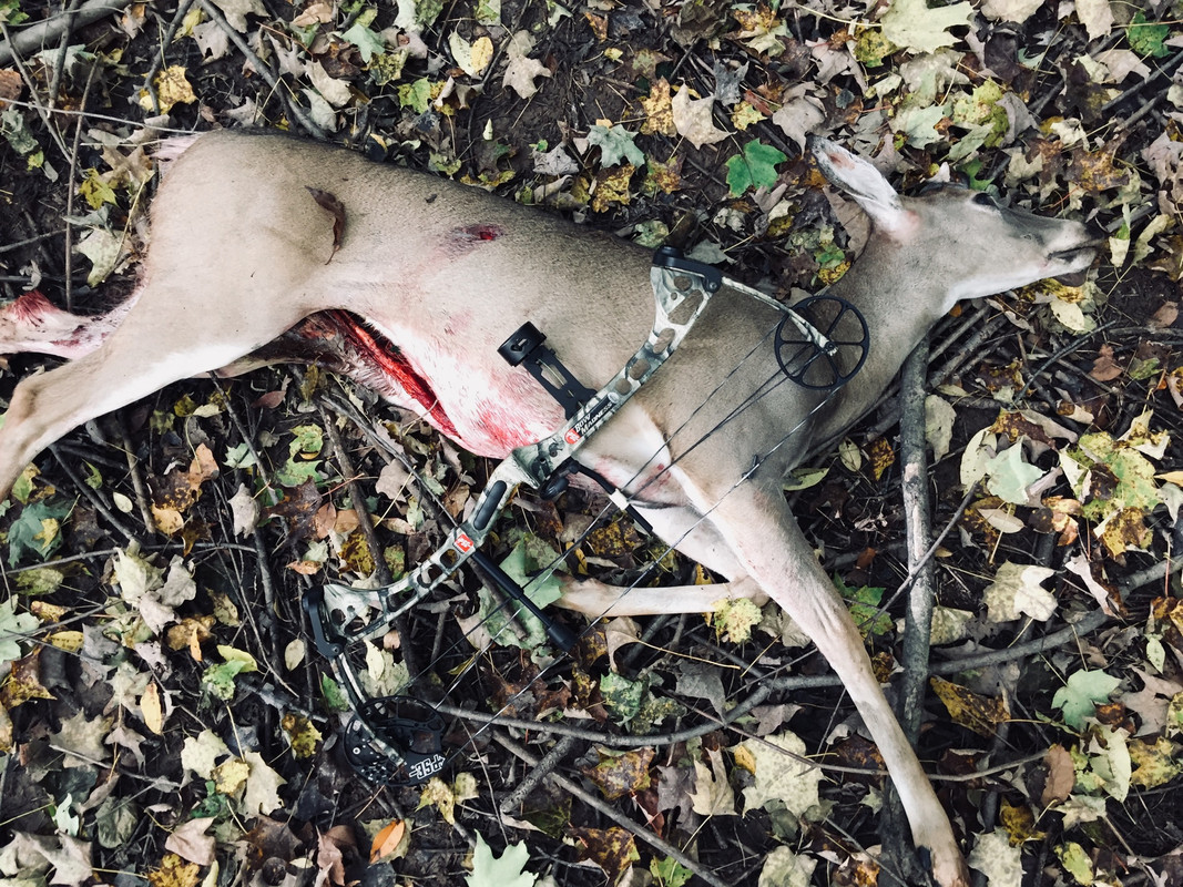 5DC246B2-1A91-44CF-ACE7-E86C8DF248A4