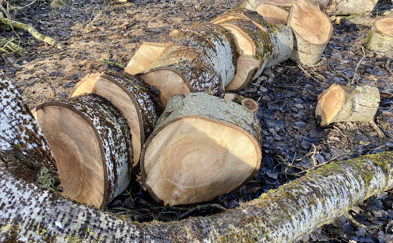 650B1F12-3289-4104-8CDC-8EF0284EE7CD