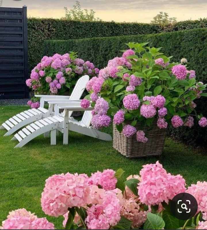 Screenshot_20230906_002957_Pinterest