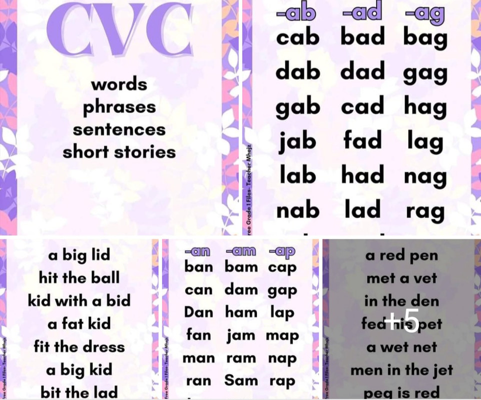 Download CVC WORDS  : 1 PDF or Ebook ePub For Free with Find Popular Books 