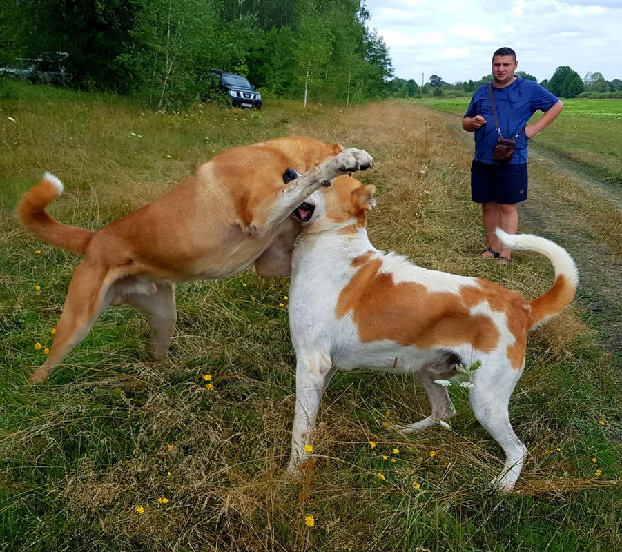 WhatsApp Image 2019-08-03 at 17.21.56