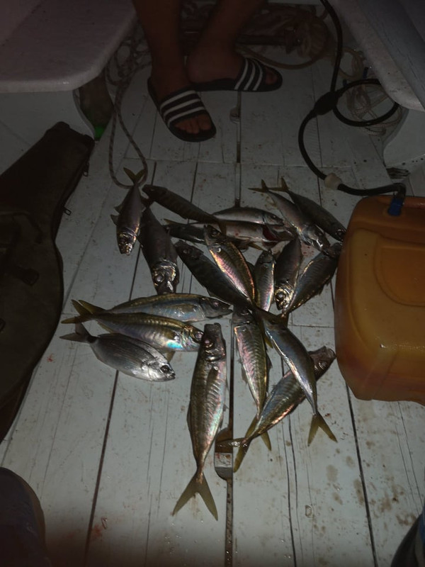 122369686_1493831527467395_2951871782054353869_n