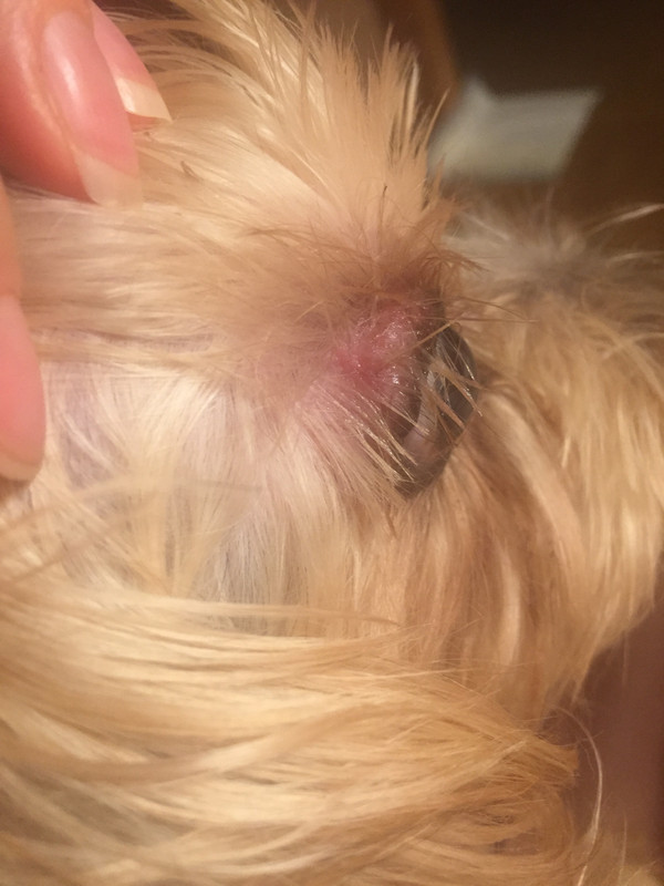 042FDD2E-2D30-482E-BF65-72AC1C66BF1C