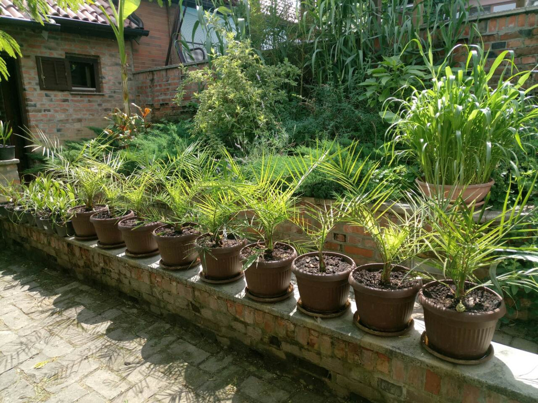 viber image88
