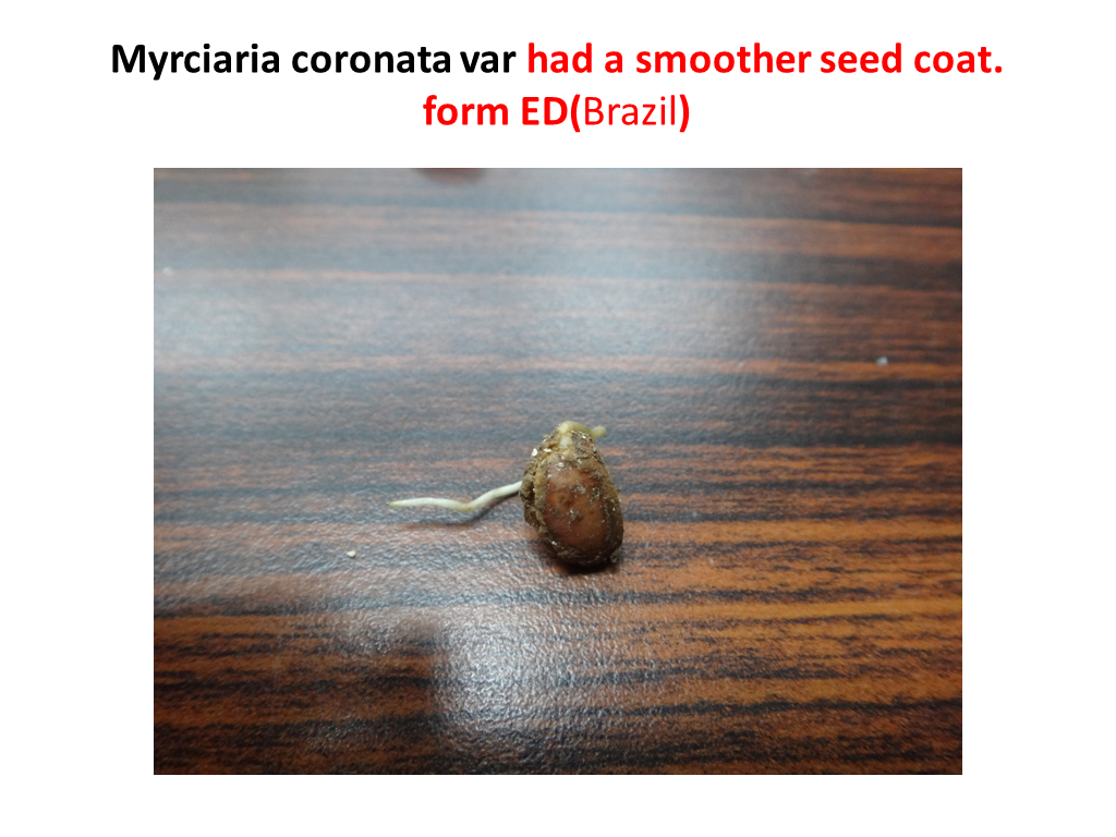 螢幕截圖 2013-12-20 10.33.17