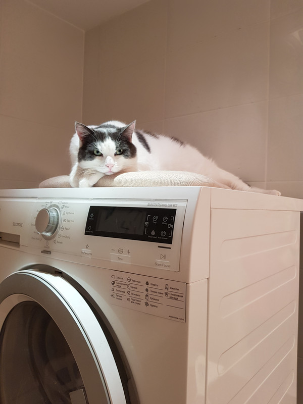 20190221-063240.jpg