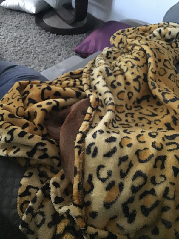 [Image: D764-EF9-A-DFB9-4-D2-D-A0-FC-0-B15-E7-B321-D1.jpg]