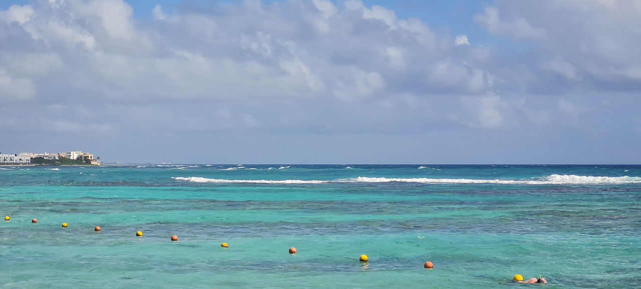 Entre pelícanos y margaritas...sin saber lo que nos esperaba - Riviera Maya en Navidad (5)