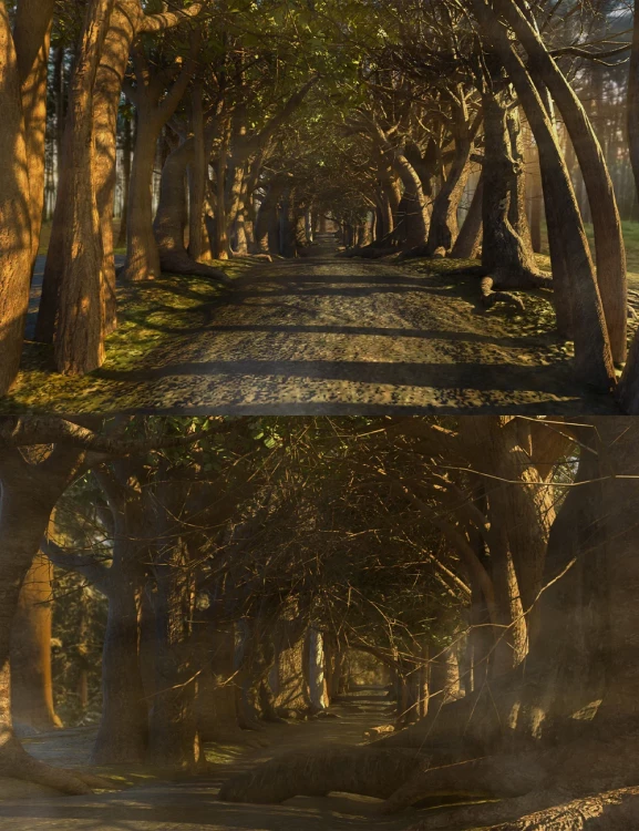 The Wandering Way