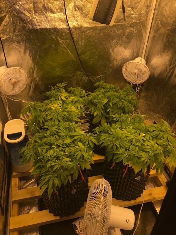 B58E9D85-BA26-4548-9135-2C5B08AA8889