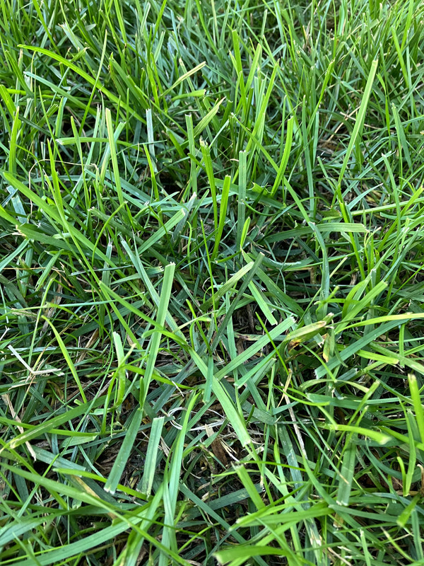 CEFFAB76-74EF-438A-A217-DA667F919292