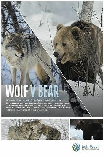 Wolf-vs-Bear-2018-WEBRip-x264-ION10.jpg