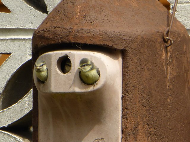 A39E6436-02BC-472D-B39D-1FD388E6BD6B