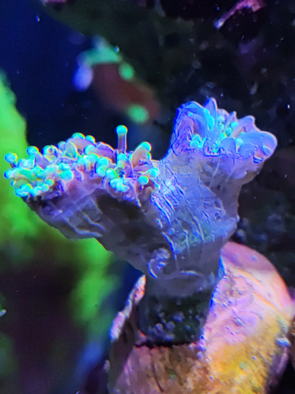 1772747948817289801907952527938