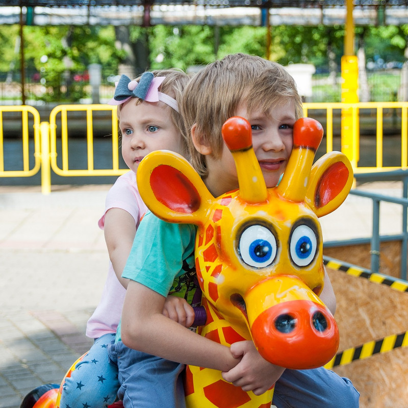 DGR_3733 — копия