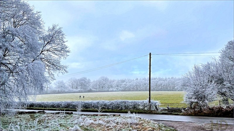frosty-morn-Feb-HD.jpg