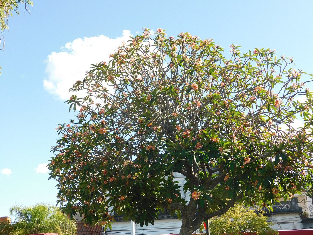 DSCN0044.jpg