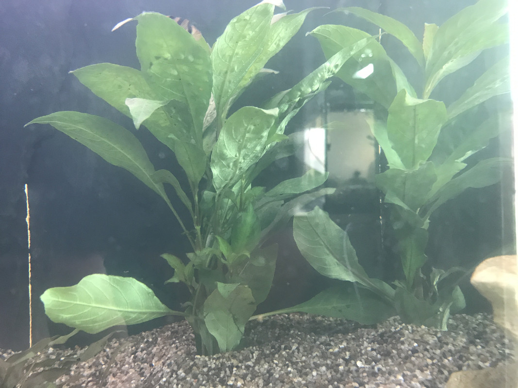 D5454401-B2AF-4809-B2EC-E05612ABD0AD