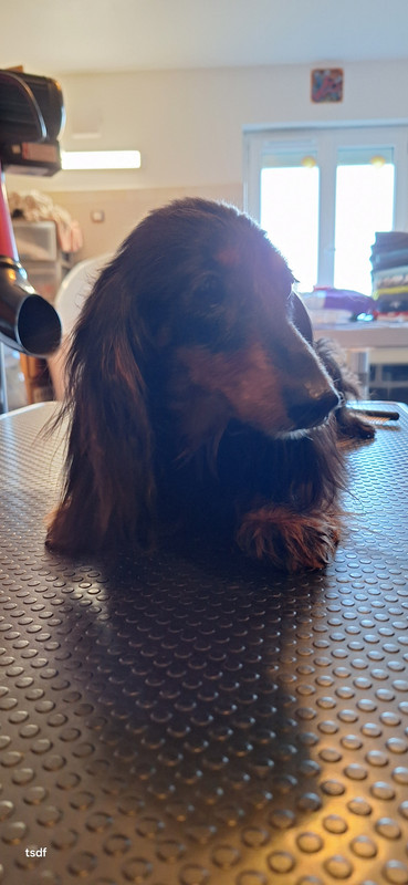 [Image: 20250305-170338.jpg]