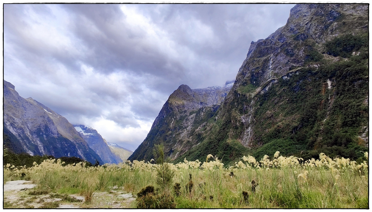 Fiordland NP: Milford Track (enero 2023) - Escapadas y rutas por la Nueva Zelanda menos conocida (12)