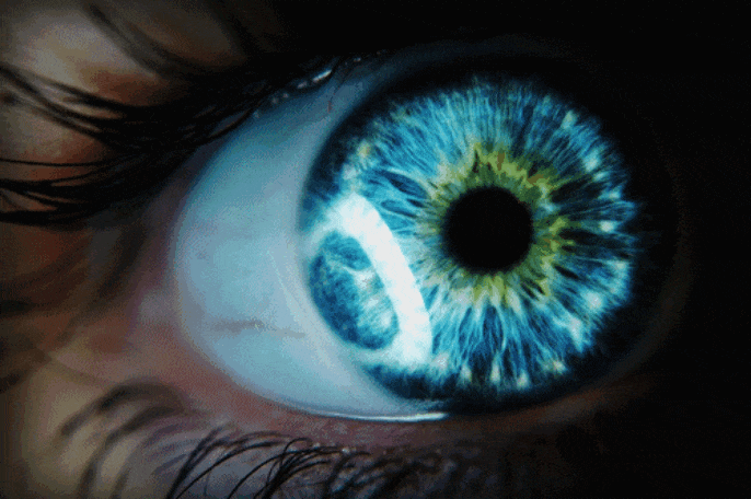 GIF-20250826-205028-722.gif