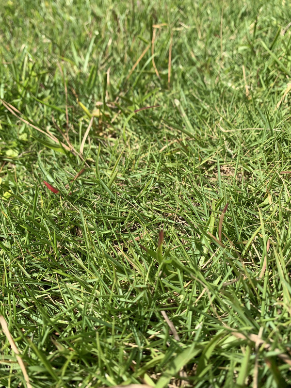 C39E05C4-569C-4E78-9930-F577C0921C6F