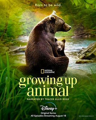 Vita da cucciolo - Stagione 1 (2021) .mkv DLMux 1080p E-AC3+AC3 ITA ENG SUBS