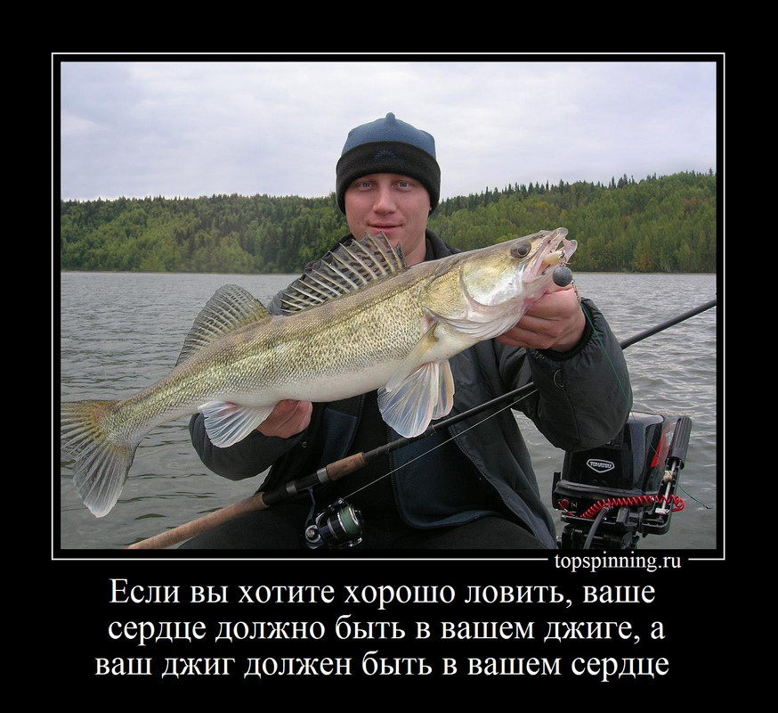 Если вы хотите хорошо ловить  джиг спиннинг судак щука мастер-класс Куляпин Андрей катушка приманка 