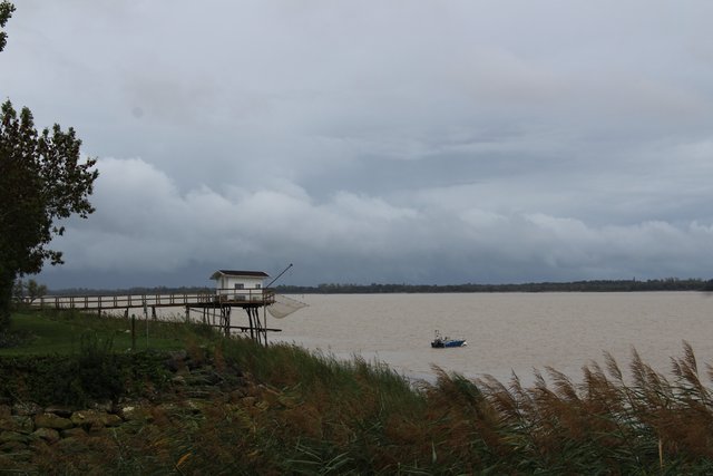 Margen derecho y vuelta - Gironde, esa gran desconocida (5)