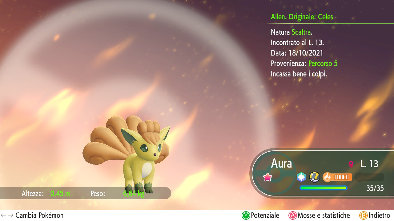 2021101817065000-5-F25-EBBAB5987964-E56-