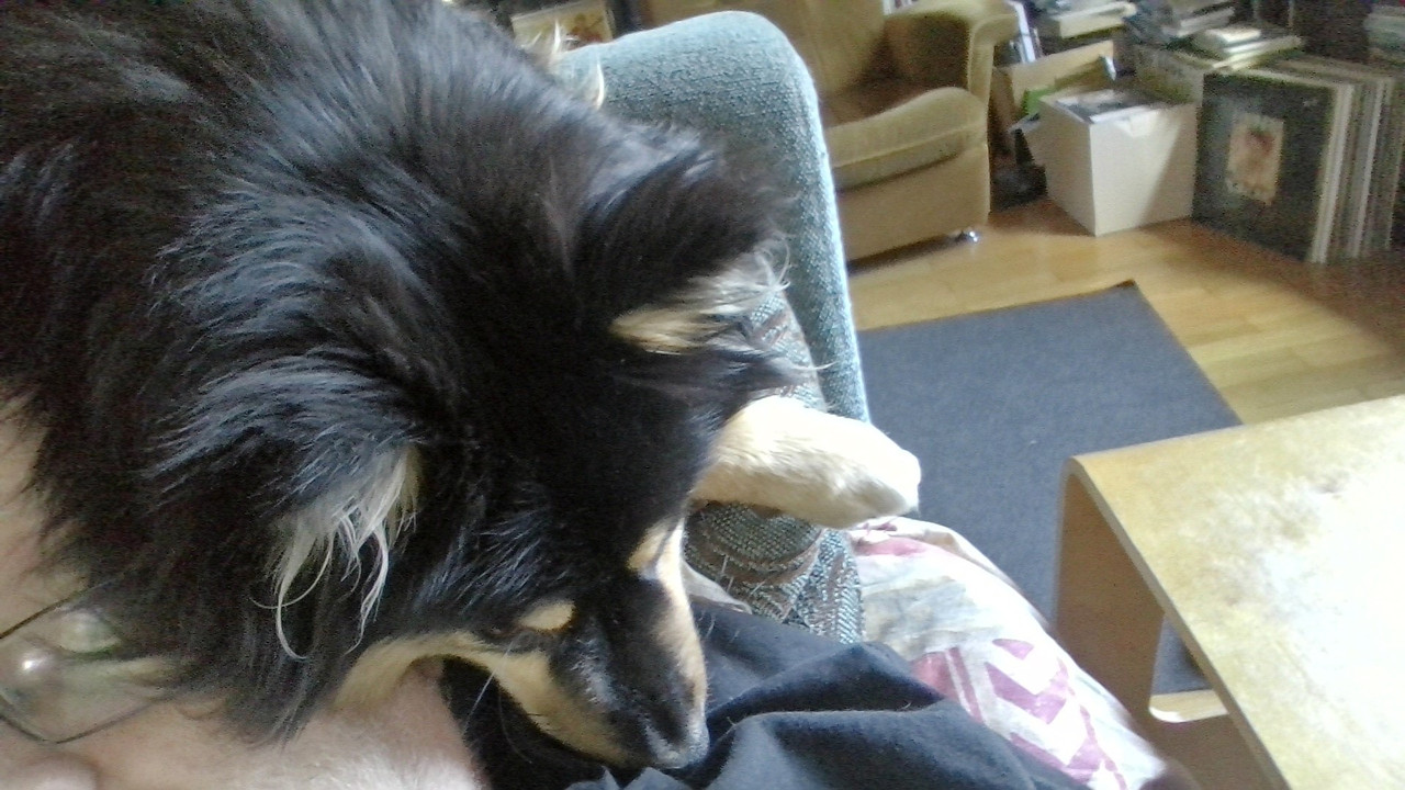 WIN_20250424_13_36_15_Pro