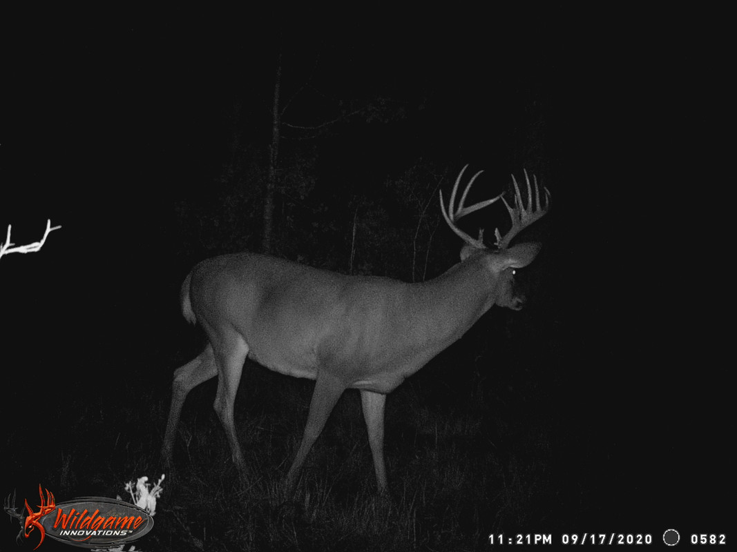 1E6C0AB8-03D5-4F6B-9125-9E4673BD4DC0